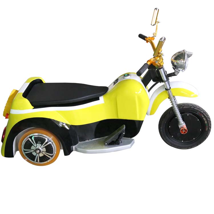 Swing Motobycle FLSM-A10001