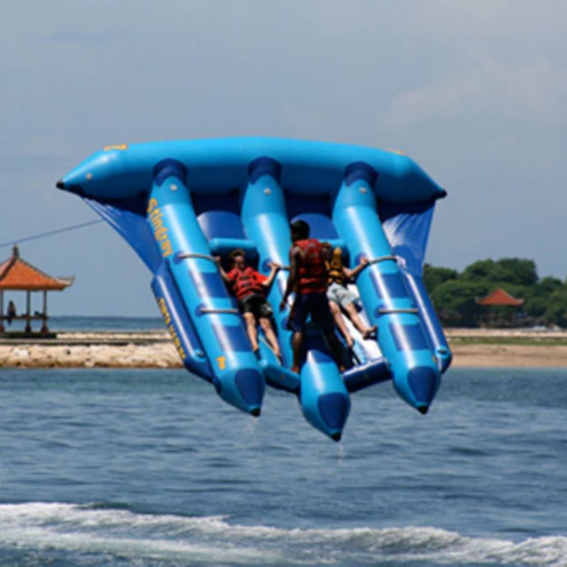 Inflatable Flying Towable
